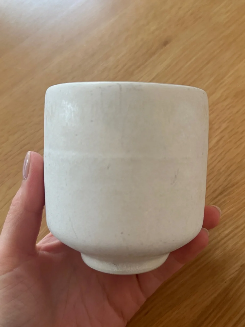 West Elm Mugs- 2 count